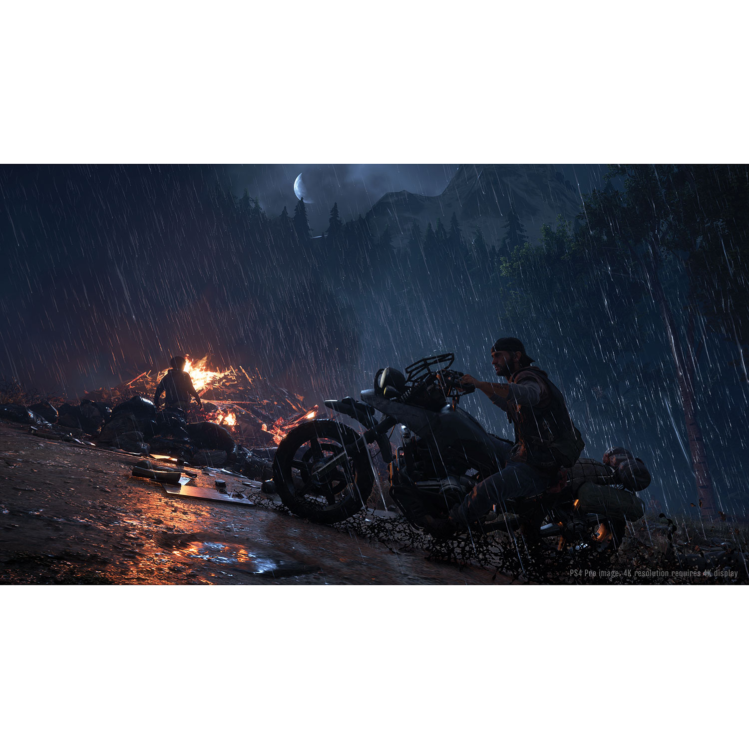 купить days gone на ps4 купить days gone на ps4