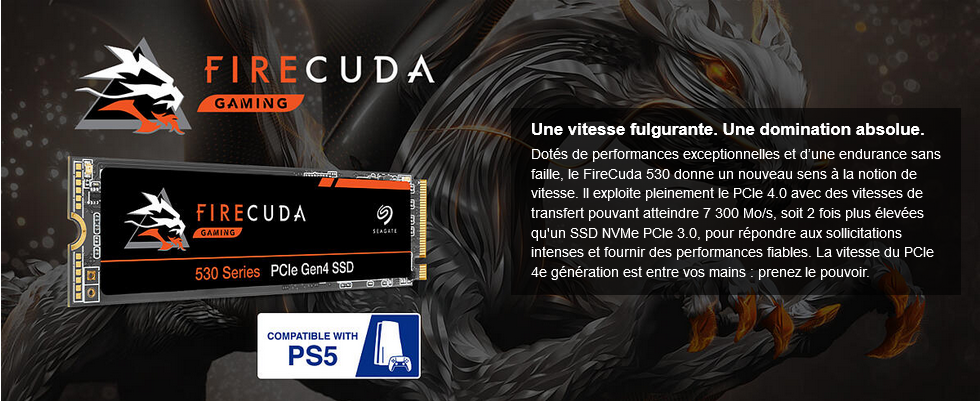 Disque SSD Interne - SEAGATE - FireCuda 530 - 1Tb - NVMe (ZP1000GM3A013)
