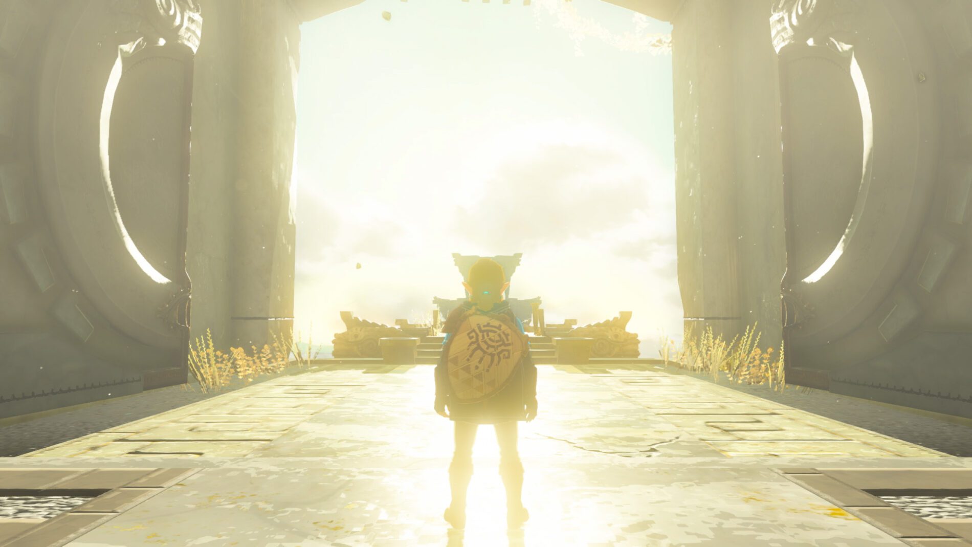 Bon Achat Zelda Tears Of The Kingdom – TXQP